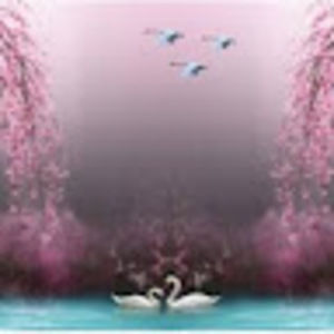 Meet your Posher, Gurinder jit